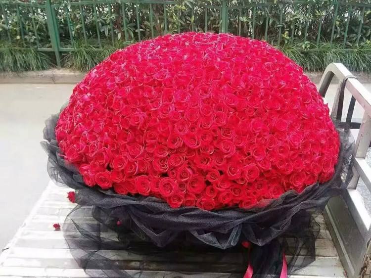 七夕送玫瑰花送什么花合适,七夕情人节应该送什么花