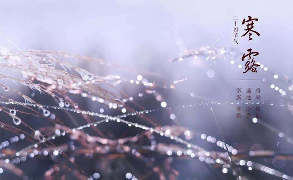 寒露节气养生的十大注意事项,寒露节气注意事项和禁忌