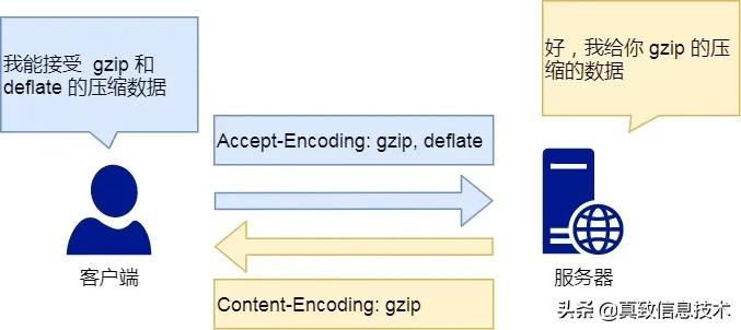 http教程零基础,开局一张图教你记住http基本格式