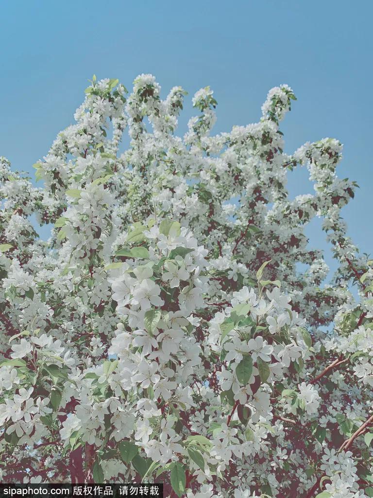 藏不住了!北京这些地方即将美出天际,你居然不知道?