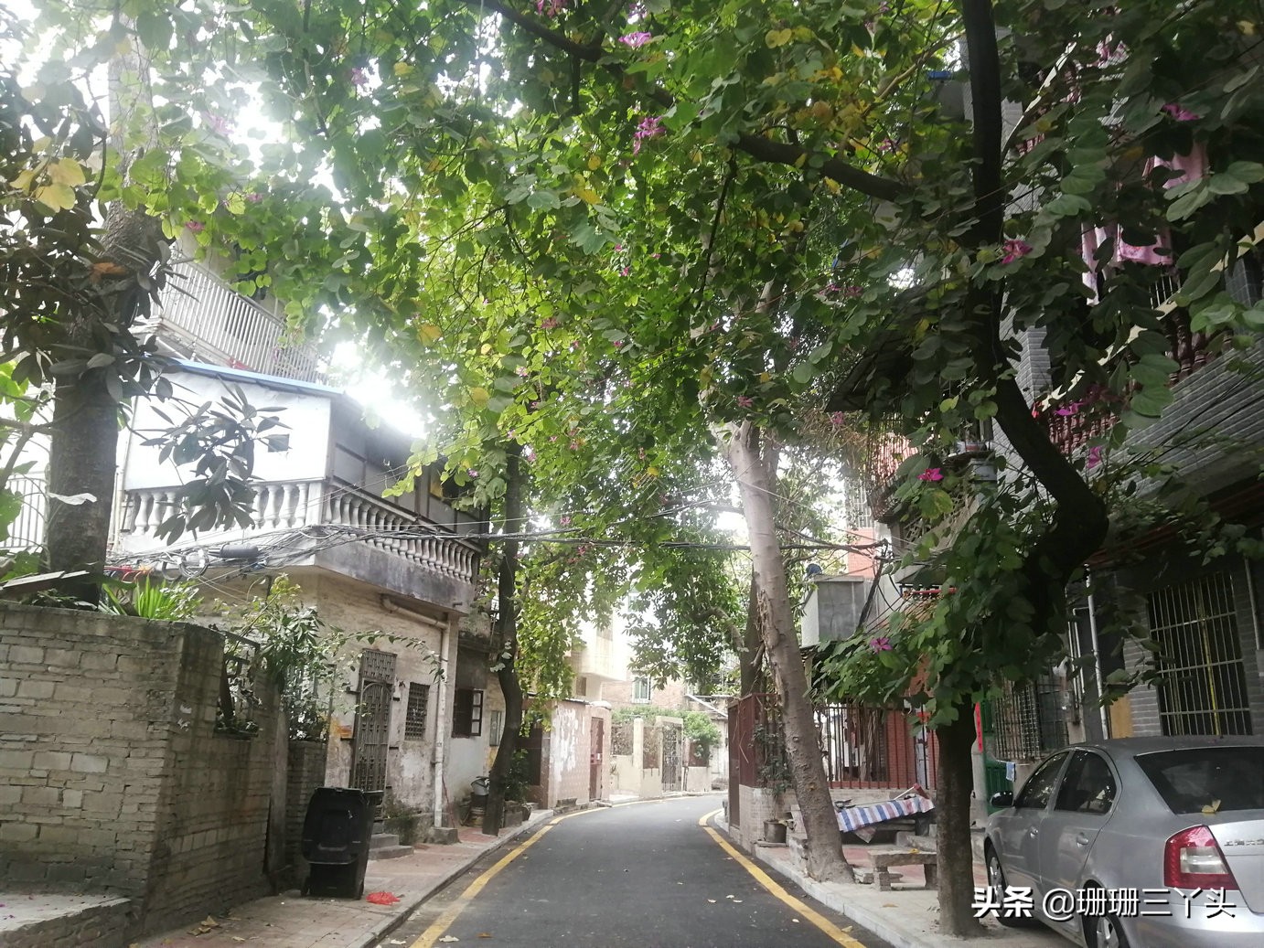 花市探秘,探访广州古村落