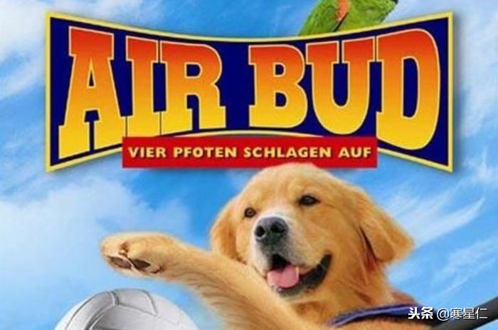 十部不能错过的汪星人主题电影,和汪星人有关的四部外国电影