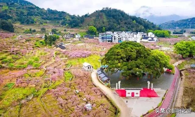 去黄山不爬黄山攻略,不爬黄山去黄山周围旅游