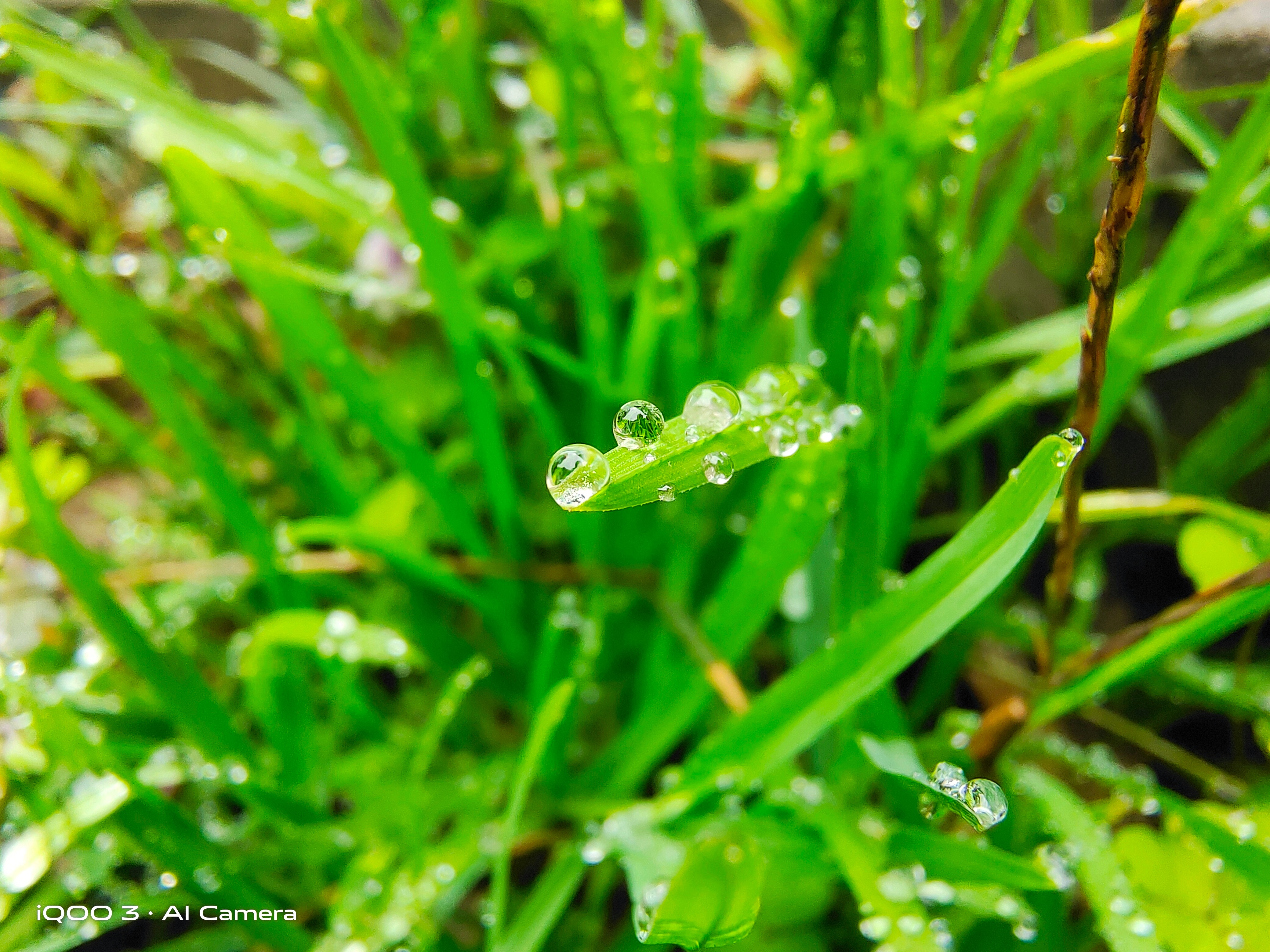 iqoo3手机评测还能战几年,iqoo3测评这才是旗舰该有的样子