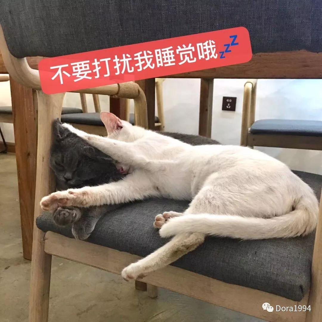 深圳适合放松的咖啡厅,深圳适合一个人打卡拍照的咖啡厅