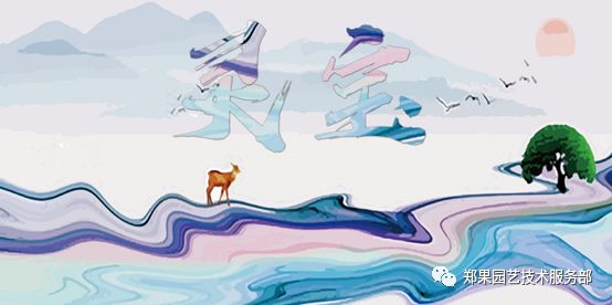 灵宝苹果,灵宝苹果是哪里的