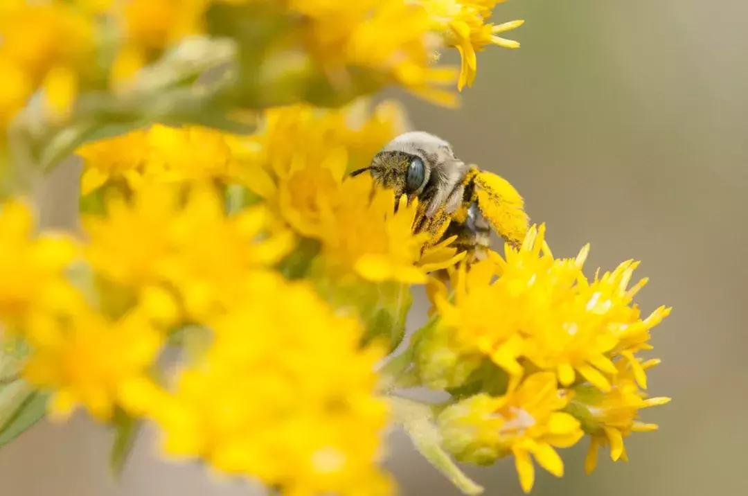 鐢熷鑺卞洯妗堜緥,鐢熷鑺卞洯