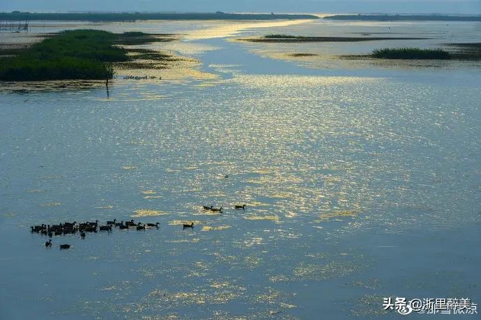 扬州夏日度假好去处,扬州最值得去的渔村