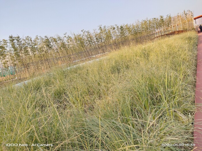 iqooneo855打王者有哪些功能,iqooneo855和竞速版的区别在哪