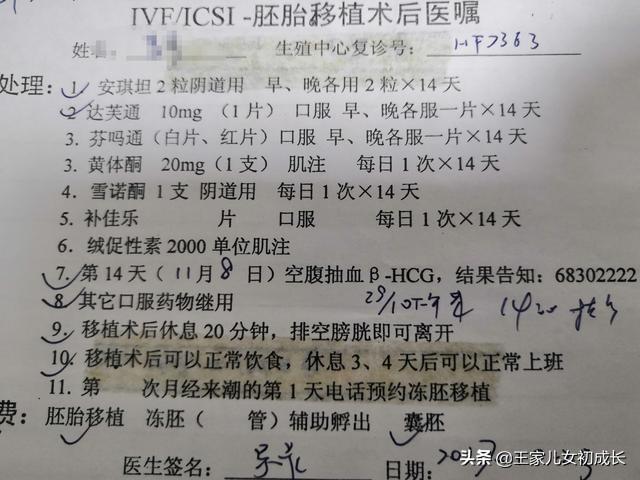 我的试管之路6——移植,带我的小宝贝回家