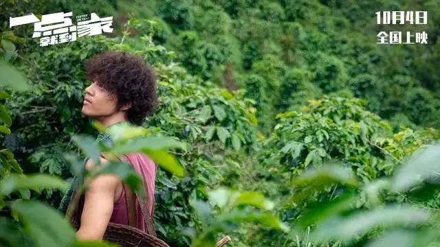 票房惨淡的高分电影有哪些,票房高口碑差的烂片