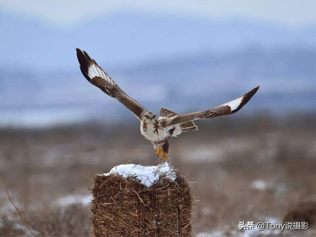 摄影:照片拍糊怎么办?4个应对技巧要学会