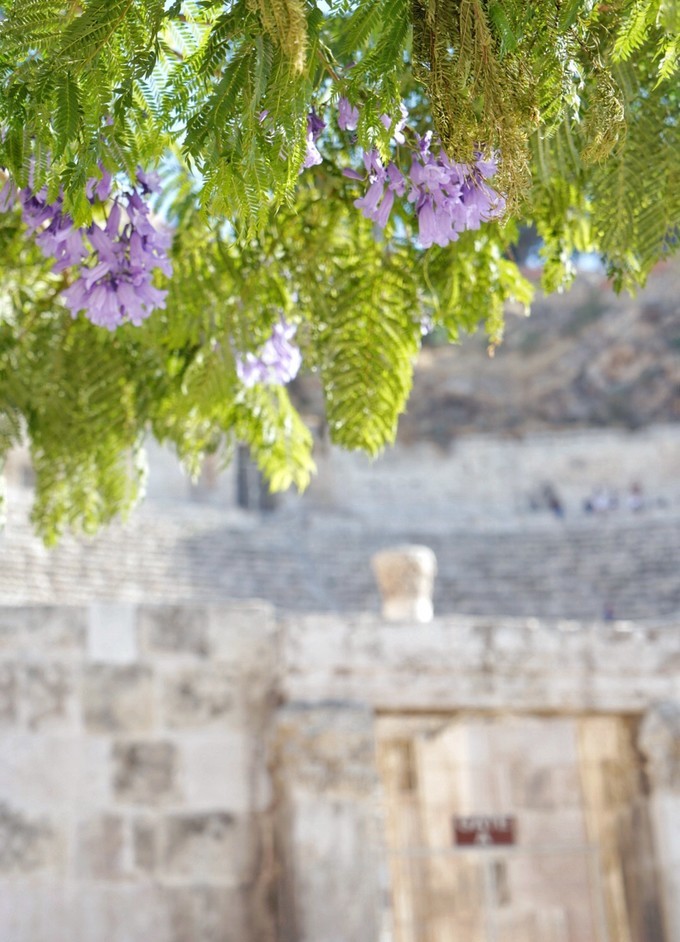 约旦佩特拉古城一千零一夜,约旦一千零一夜