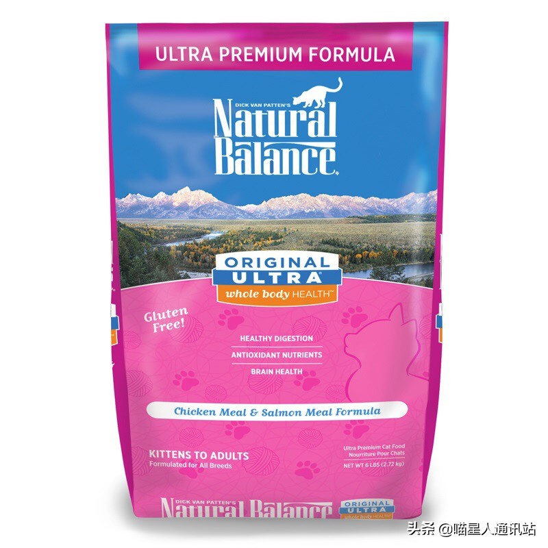 花销盘点｜养一只猫一年花的钱够买30根口红