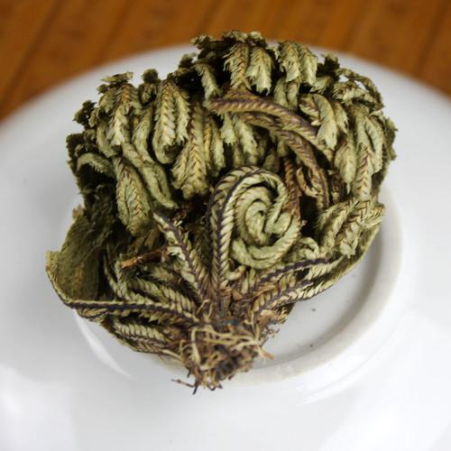 农村小野草“九死还魂”,缺水成枯草,遇水就复活,如今成高档货