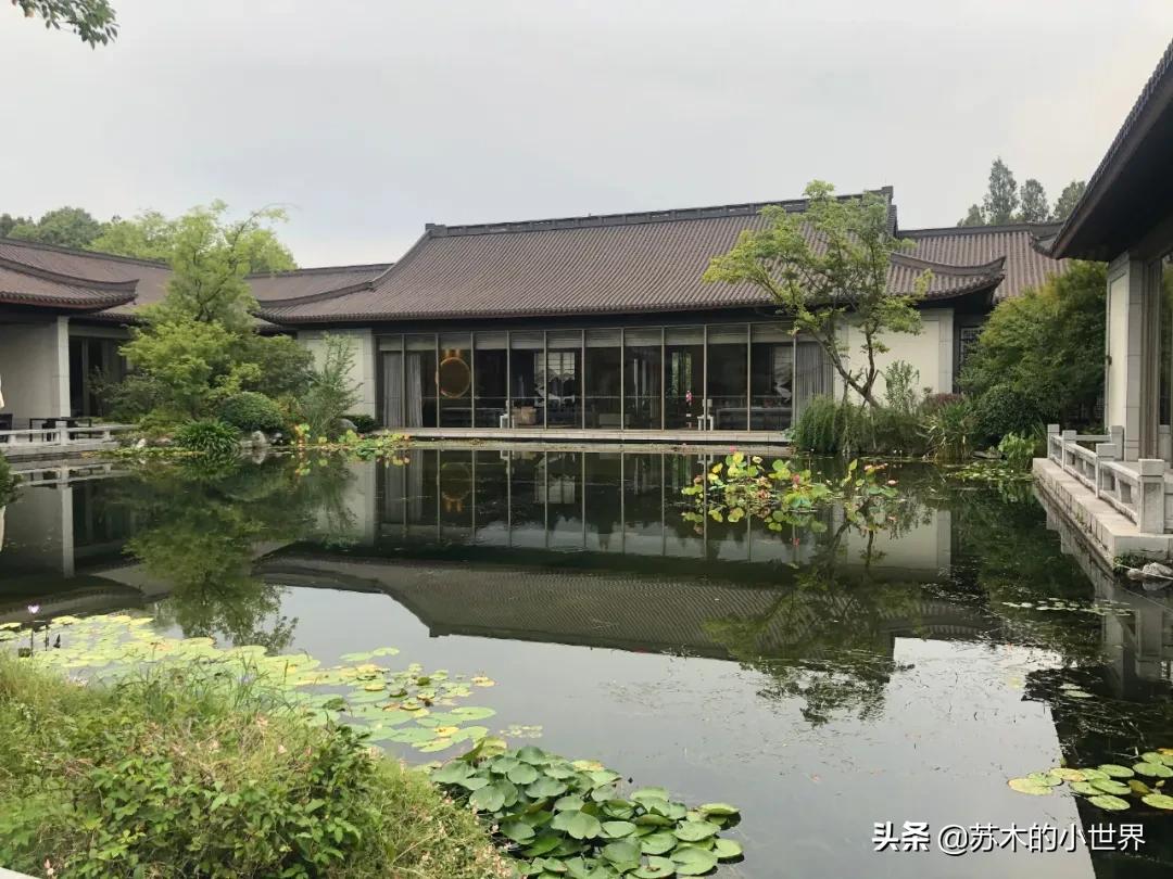 秋天的好物分享,春夏秋冬的四季好物分享