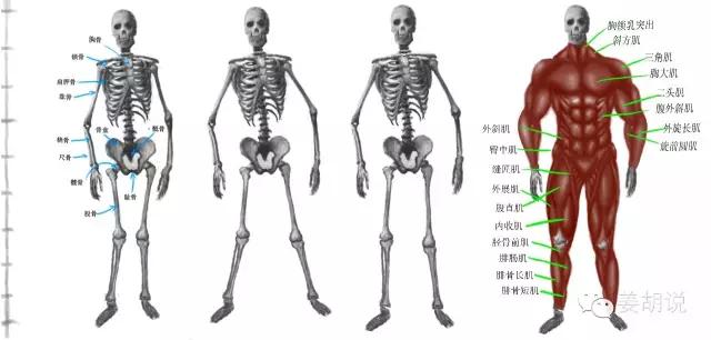 如何阅读一本书可以和书对话,怎么和书籍相遇