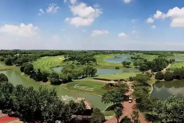 全国首家七星宠物度假酒店,最豪华的宠物酒店