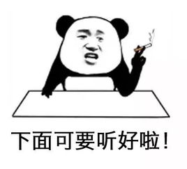 顾家双十一,顾家家居双11