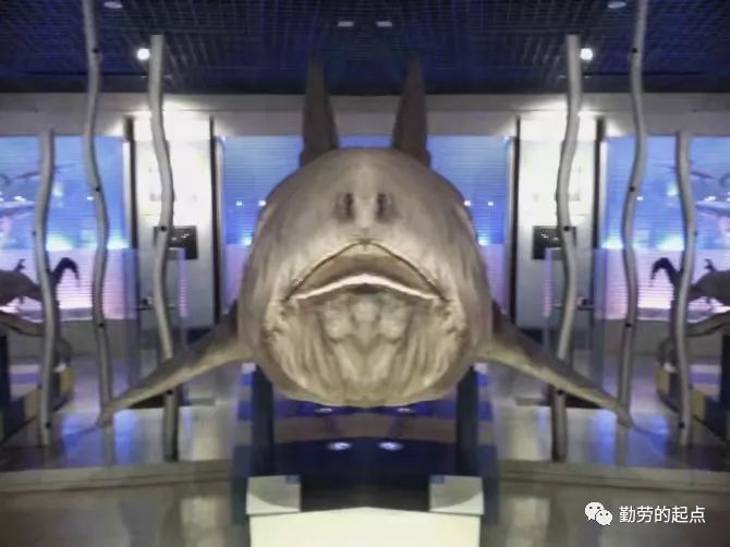 有品位的人都爱逛博物馆,有品位的人都爱去博物馆