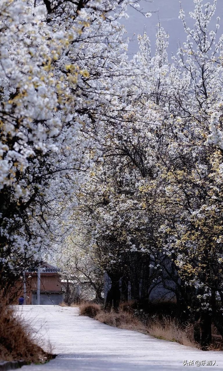 一定要去的五十个最美的地方中国,一生中必去中国100个最美的地方