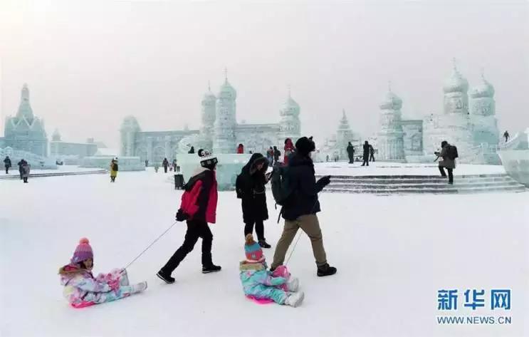 50条让你震惊的冷知识,这十个冷知识确实涨见识