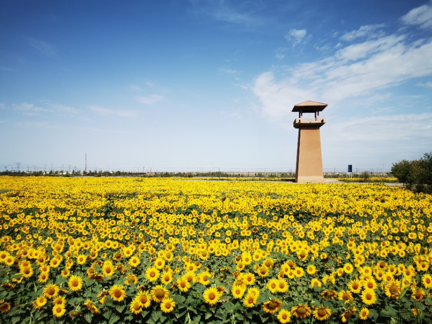 哈密疆内旅行最新消息,新疆哈密市东大门