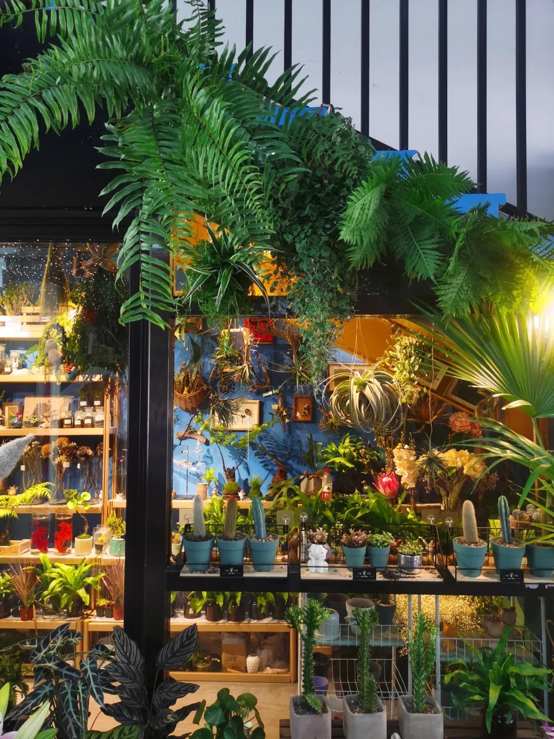 从10平方米的楼梯间花店，到130平方米的花园花店，为何她俩做得这么火？