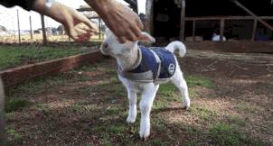 身体五个部位别洗干净,身上五个部位越脏越好