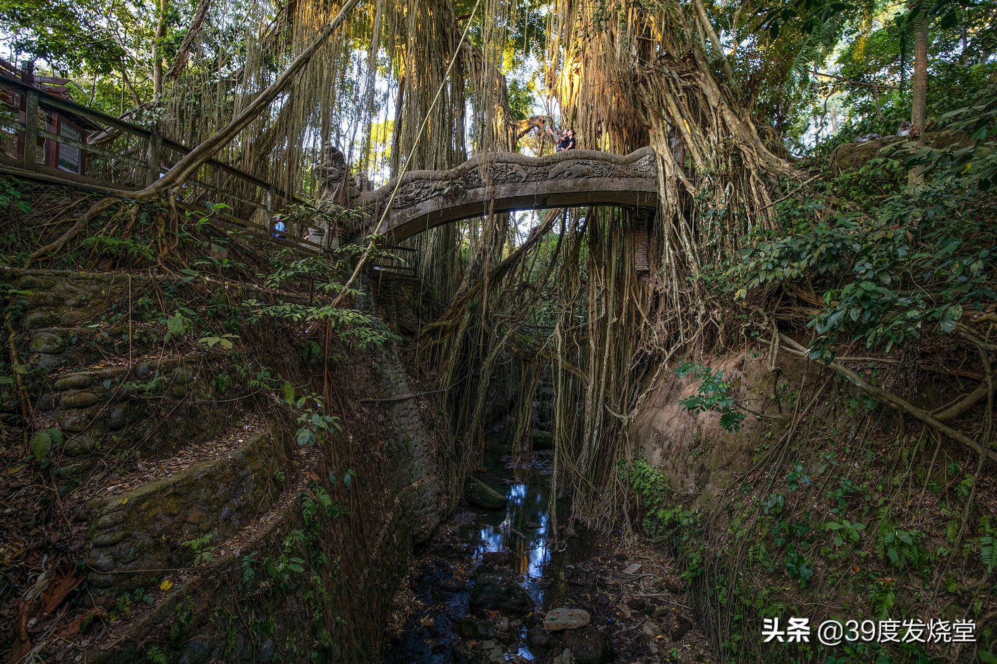 佳能rf15-35mmf2.8,佳能rf15-35f2.8镜头尺寸