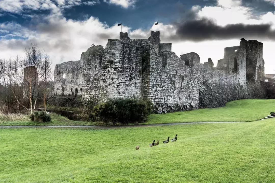 世界上哪些国家禁止离婚,世界上禁止离婚的国家高清视频