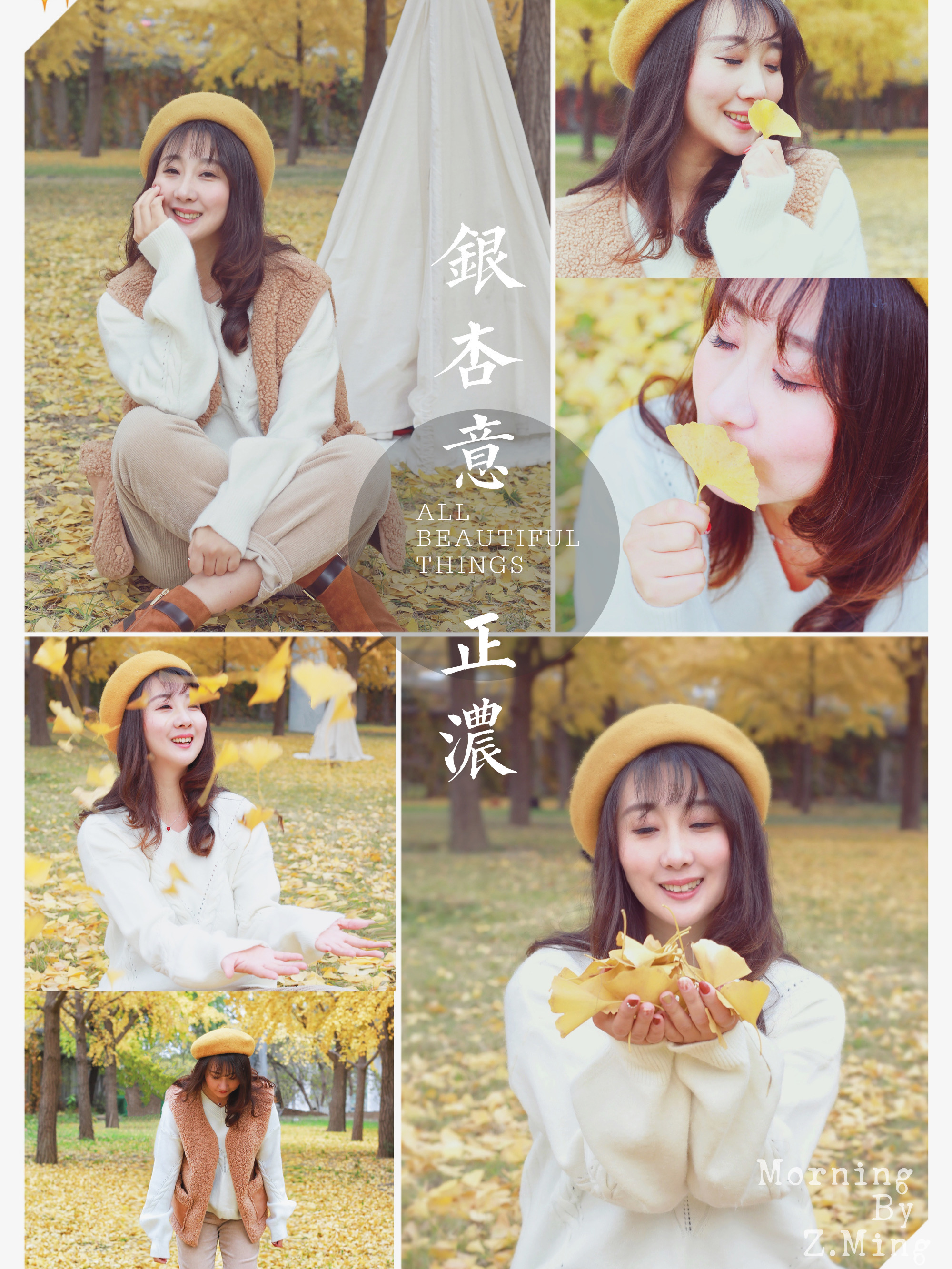 北京银杏特别黄,北京哪里有成片的银杏树林