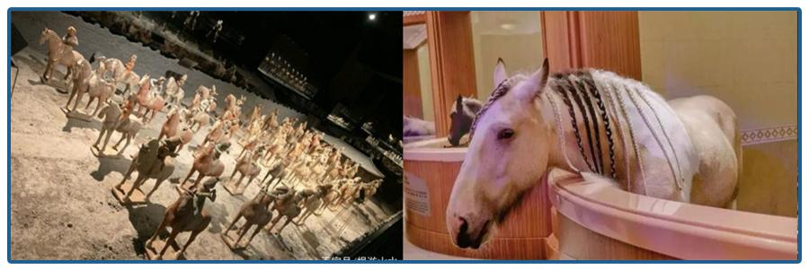 海澜之家叫板优衣库到底谁更靠谱,海澜之家叫板优衣库