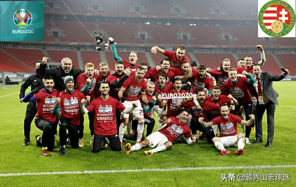 欧洲杯匈牙利巅峰赛,欧洲杯胜利精彩回顾