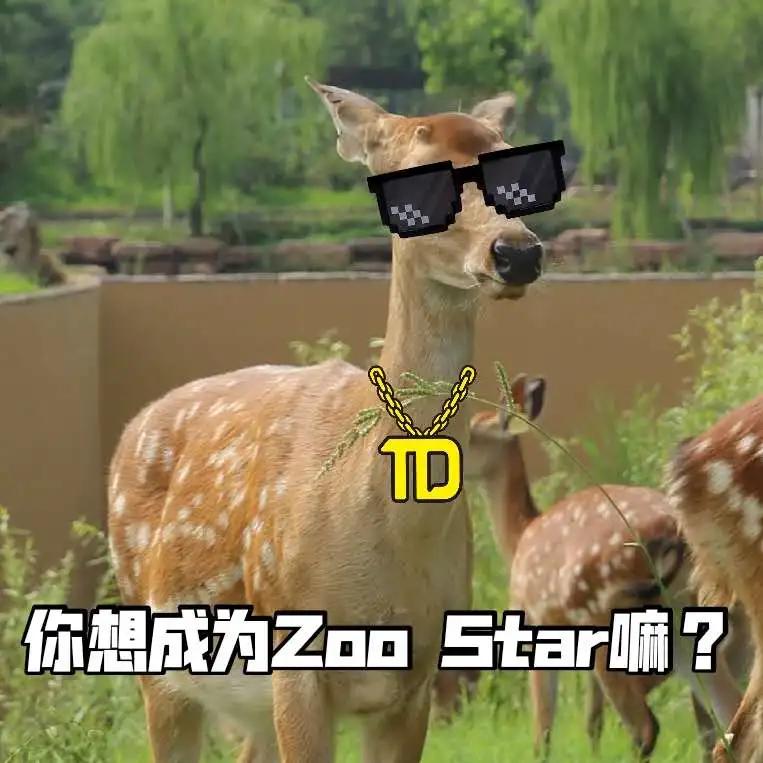 「官宣」泉城欧乐堡动物王国9月16日惊喜开园！王国秘籍抢先get