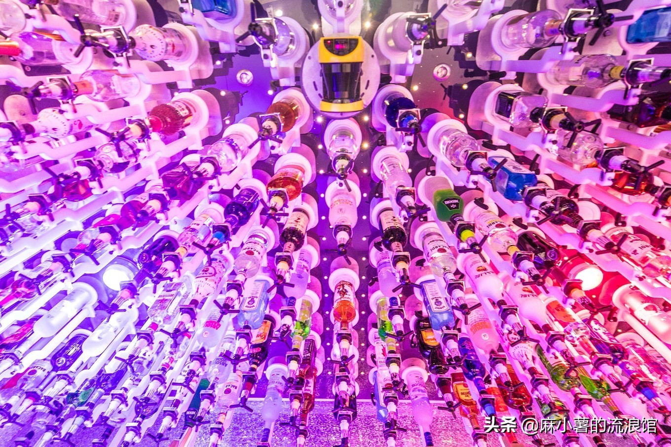 皇家加勒比海游轮巡游记,皇家加勒比游轮光谱号七日游