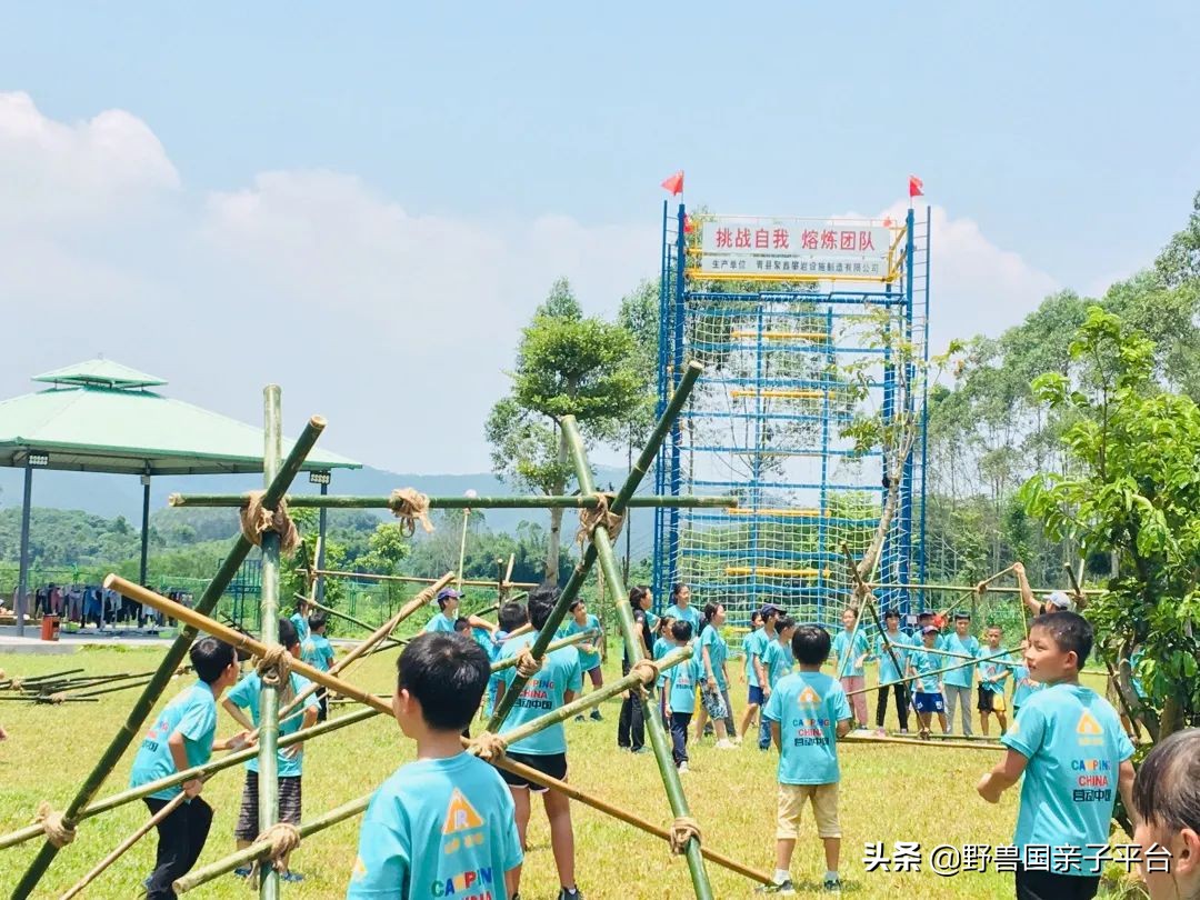 哪里学游泳最便宜又好,暑假学游泳去哪里学