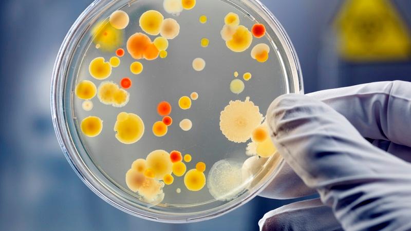 纯天然无化学成分护肤品,无防腐剂的化妆品真的好吗