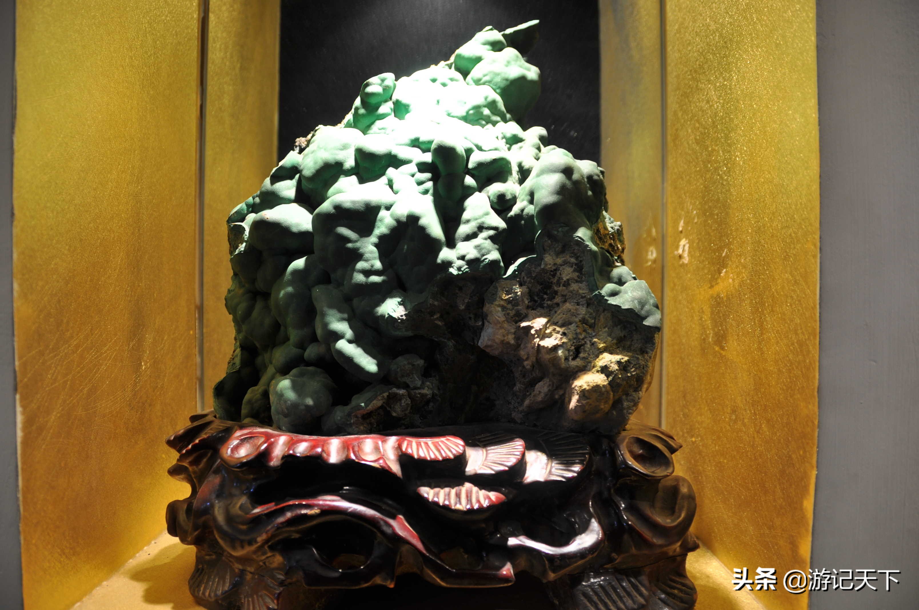 阿尼亚参观博物馆,上海地质科普馆游玩