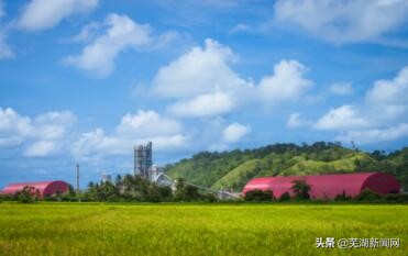 海螺集团2021年世界500强排多少位,海螺中国500强排名