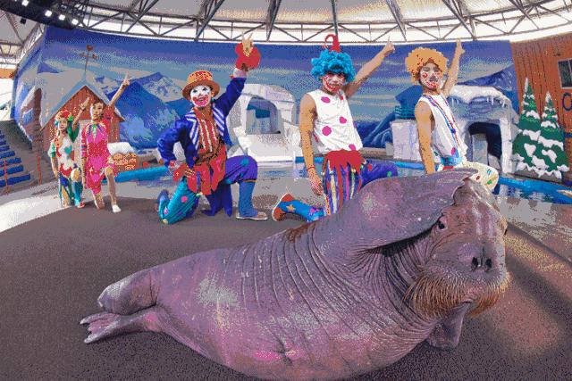 不想回上海了怎么办,不想在上海漂泊了想回合肥