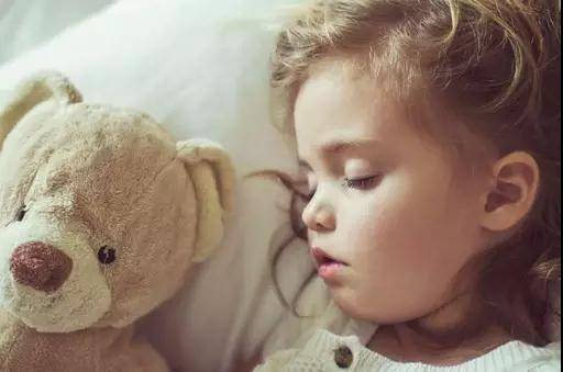 下川岛小帕劳,广东小帕劳