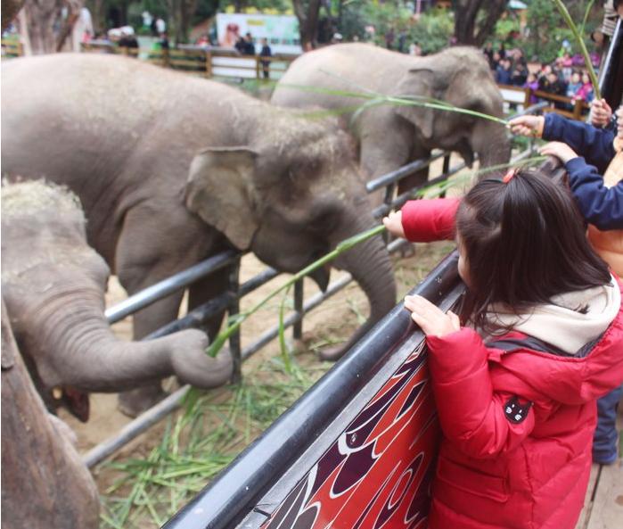 团队自驾游南澳岛旅游攻略,自驾广州长隆3天2夜亲子游攻略