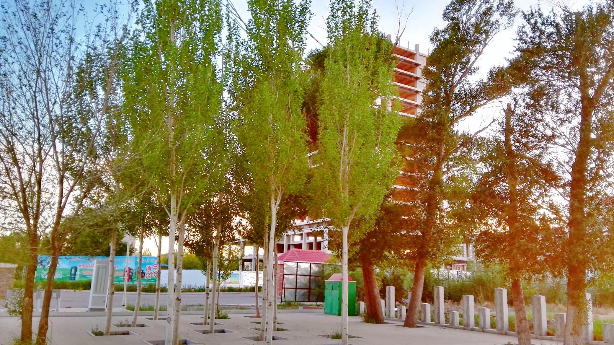 天边草原乌拉盖，《狼图腾》取景地，内蒙古保存最完好的天然草甸