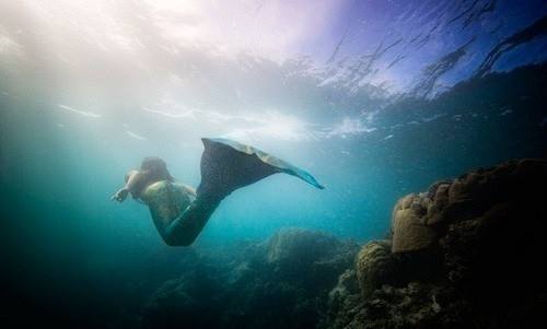东方西方的美人鱼,东方和西方的美人鱼不同之处