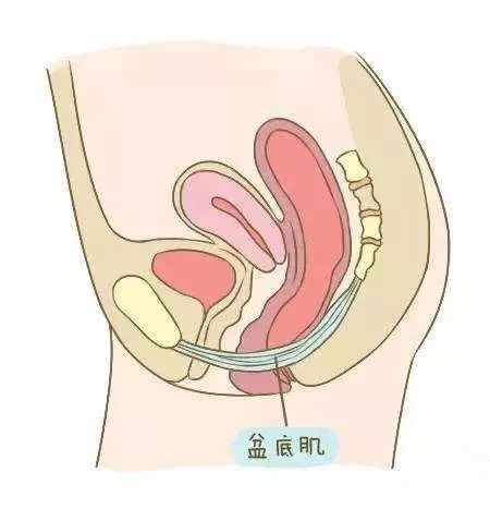 笑会笑出尿来是不是病,笑是好事还是坏事