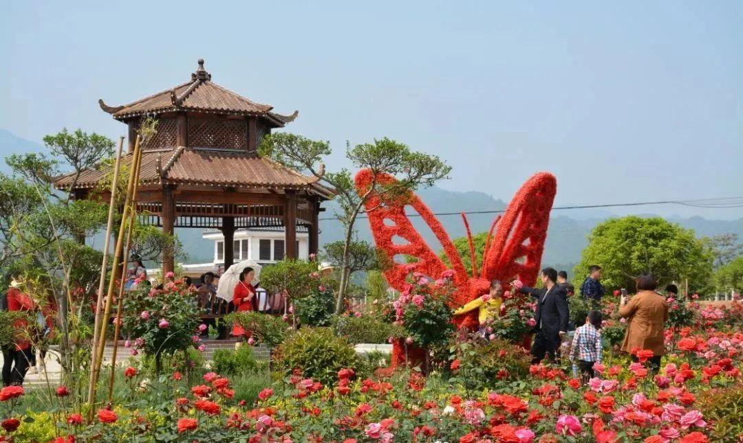 西峡县有哪些特色小镇,河南西峡美丽小镇