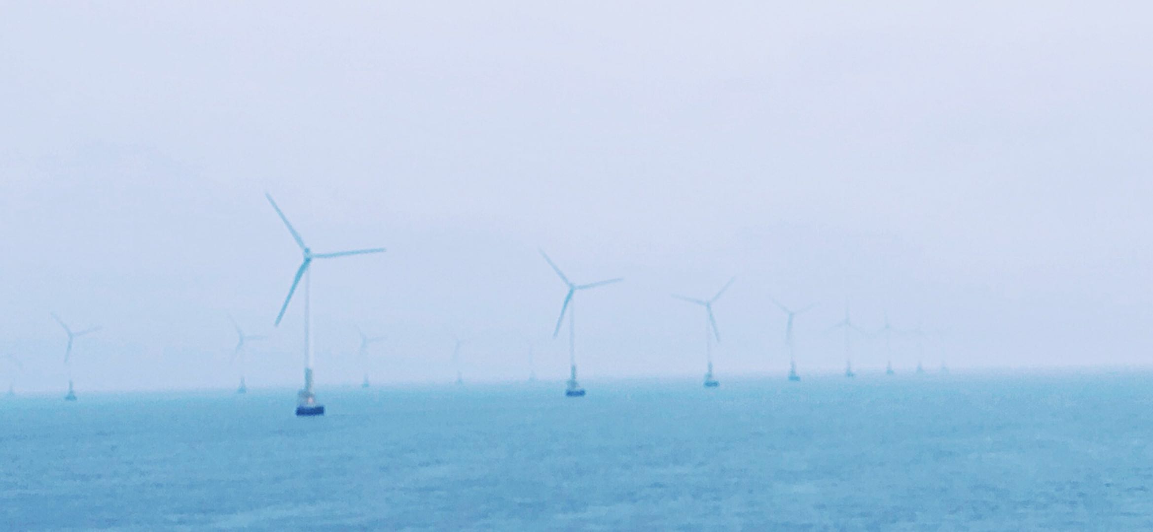 浙东枸杞岛之行 (枸杞岛有哪些精华景点)