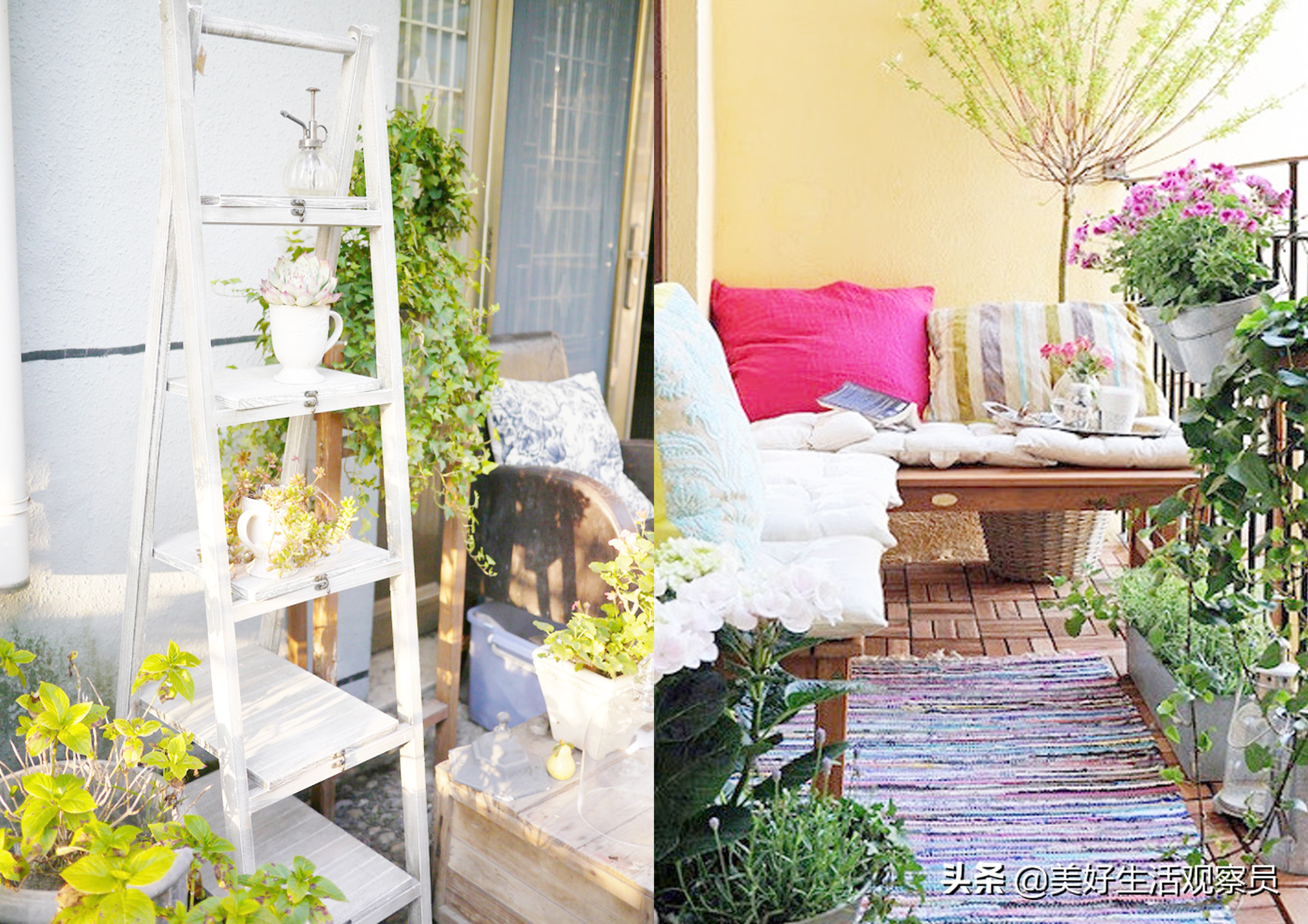 家居阳台绿植花卉,阳台绿植省钱小妙招