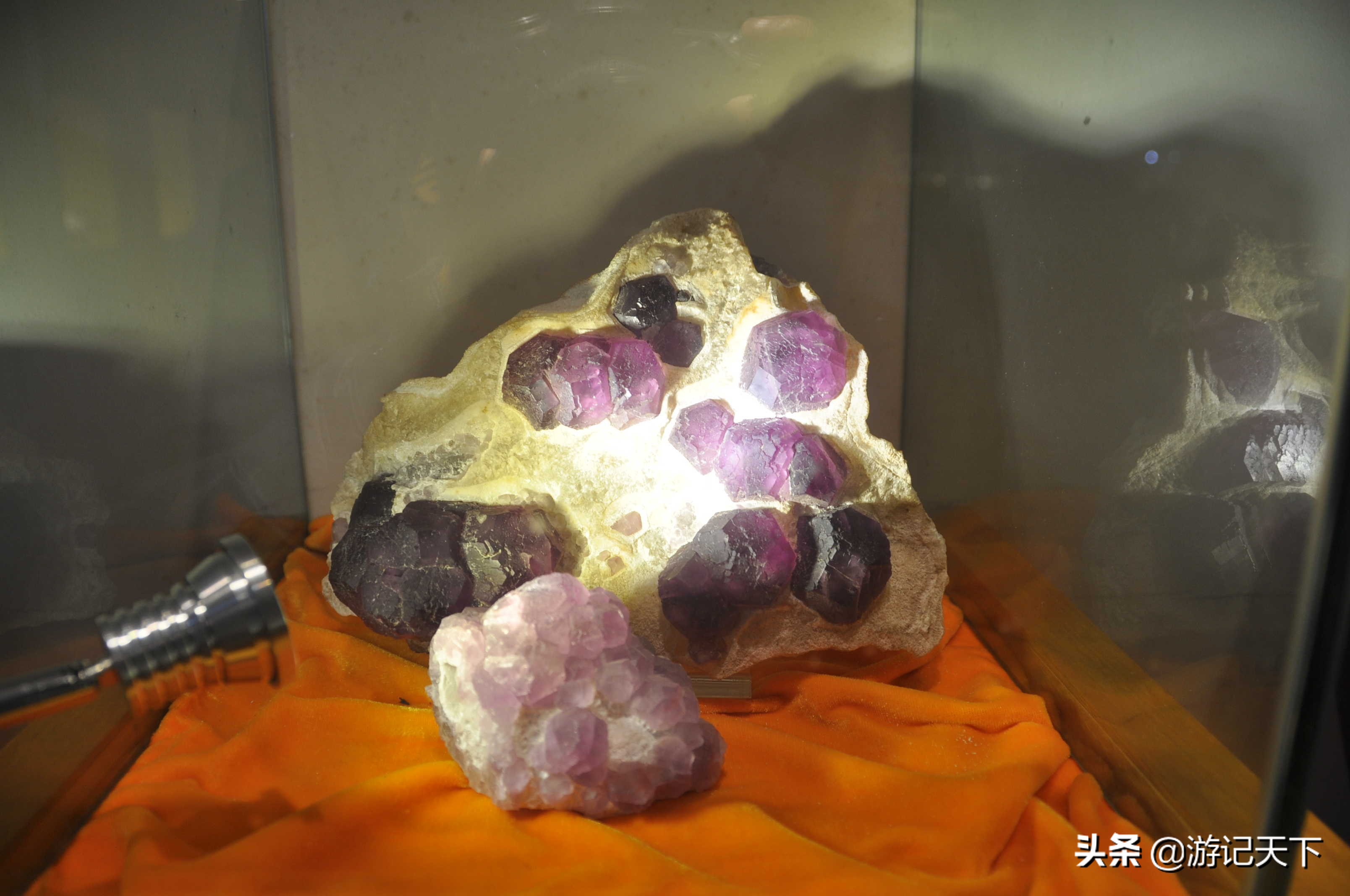 阿尼亚参观博物馆,上海地质科普馆游玩